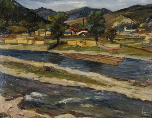 Village on the Shore of the Siret by Mihai Adamiu