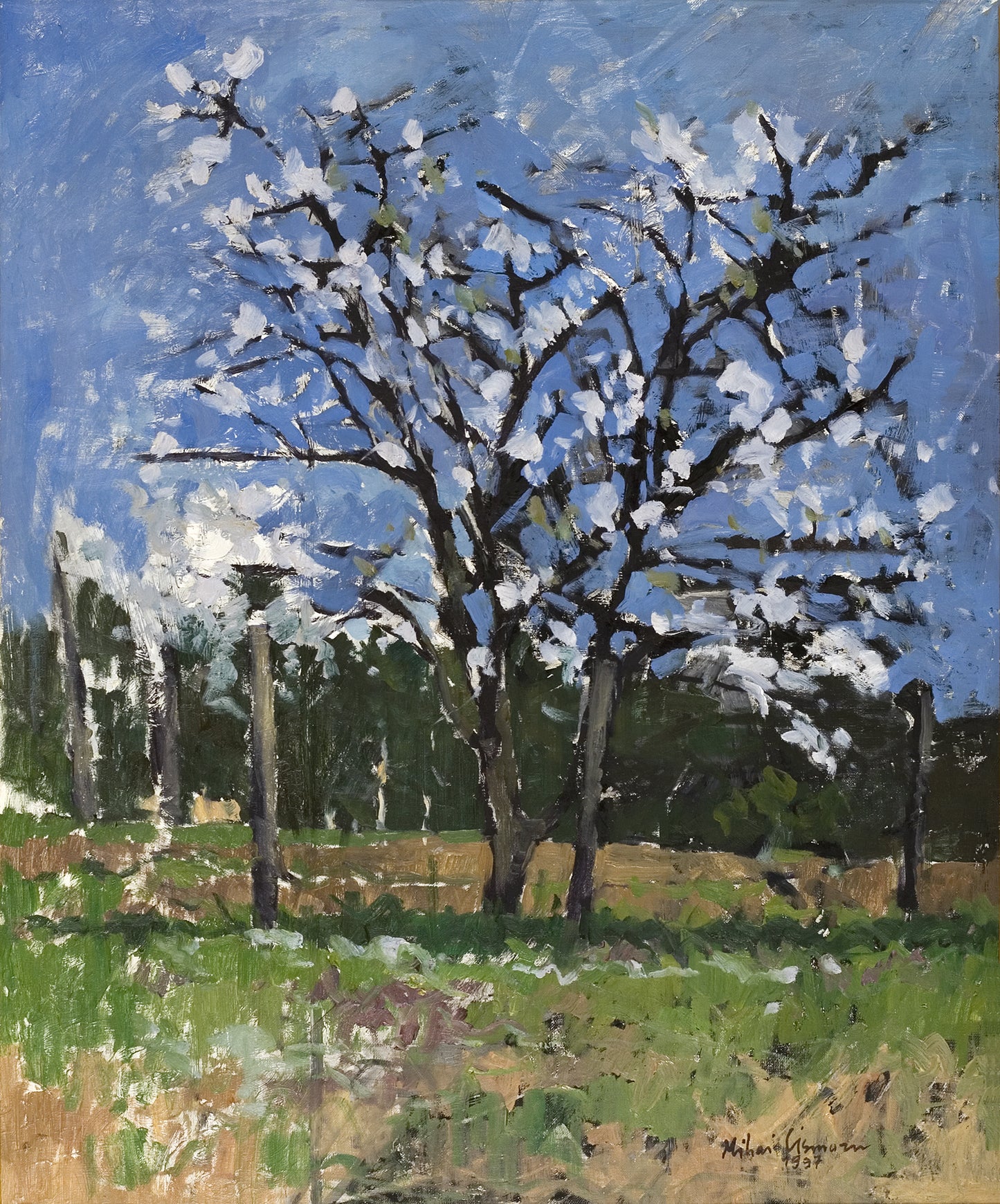 Spring by Mihai Cismaru