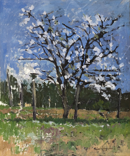 Spring by Mihai Cismaru